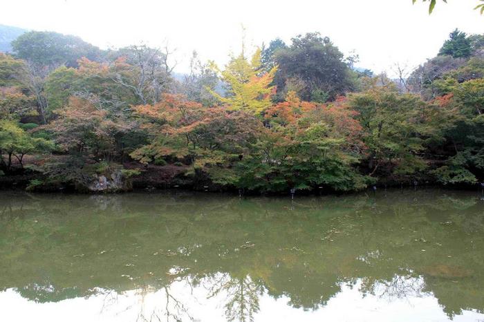 20131102b.jpg