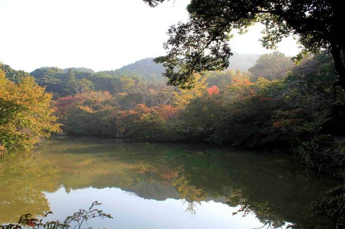 20131105b.jpg
