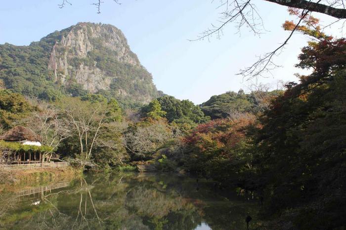 20131107a.jpg