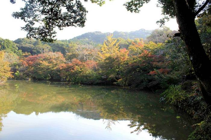 20131107b.jpg