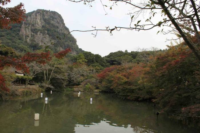 20131109a.jpg