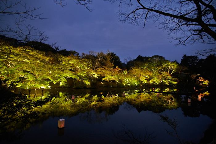 20131109c.jpg