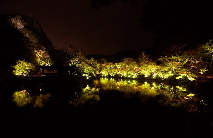 20131109d.jpg